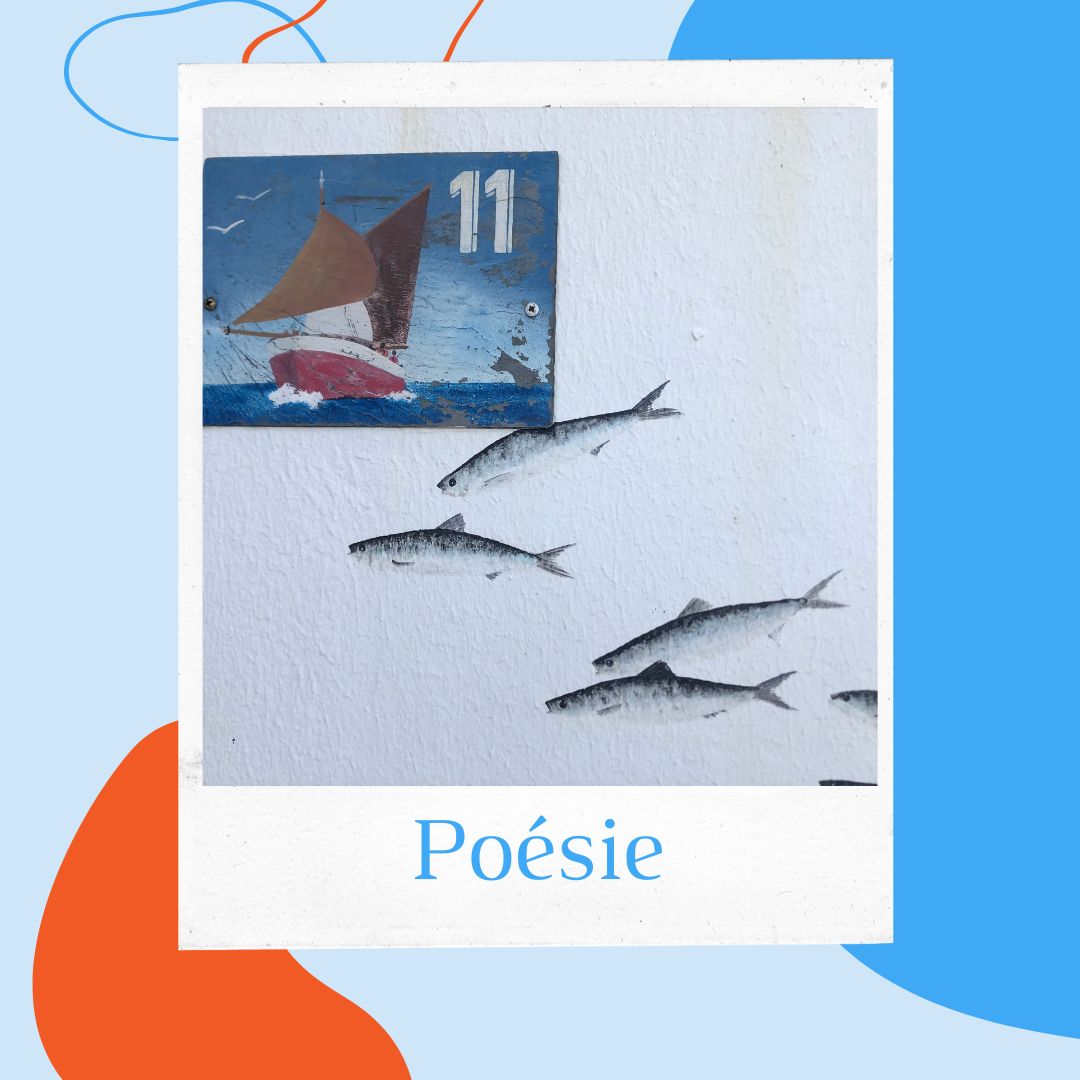 La Poésie, ou comment partager sa passion avec des mots